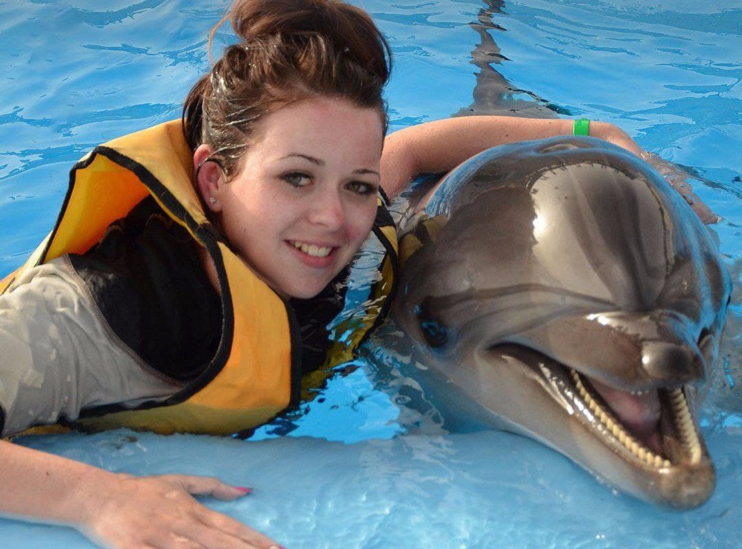Dolphin House