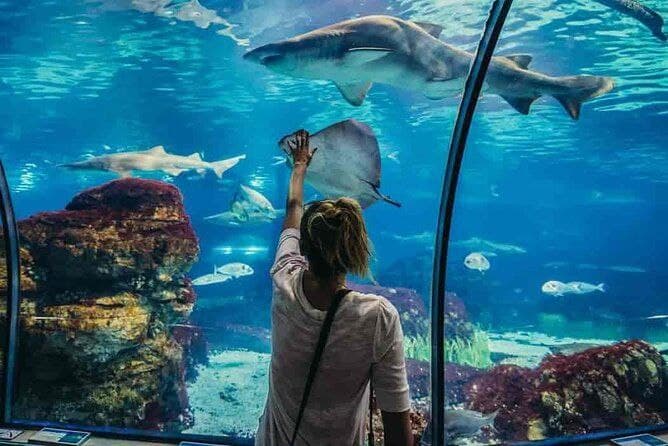 Hurghada Aquarium